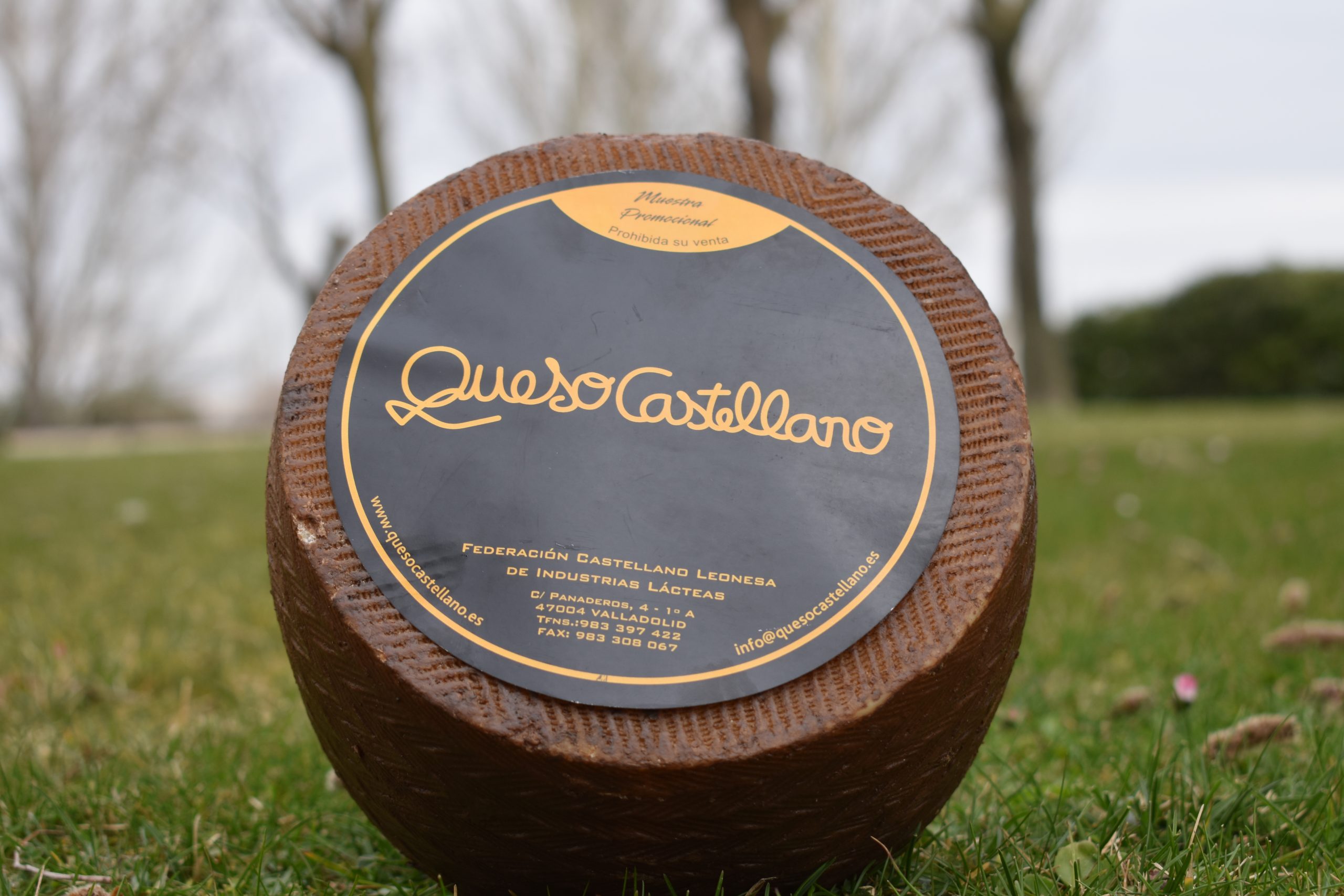 Queso Castellano IGP