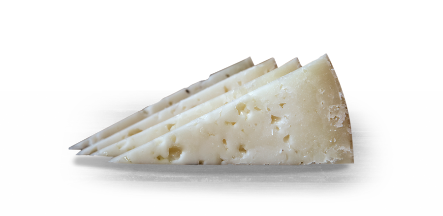 Queso Castellano - Olor